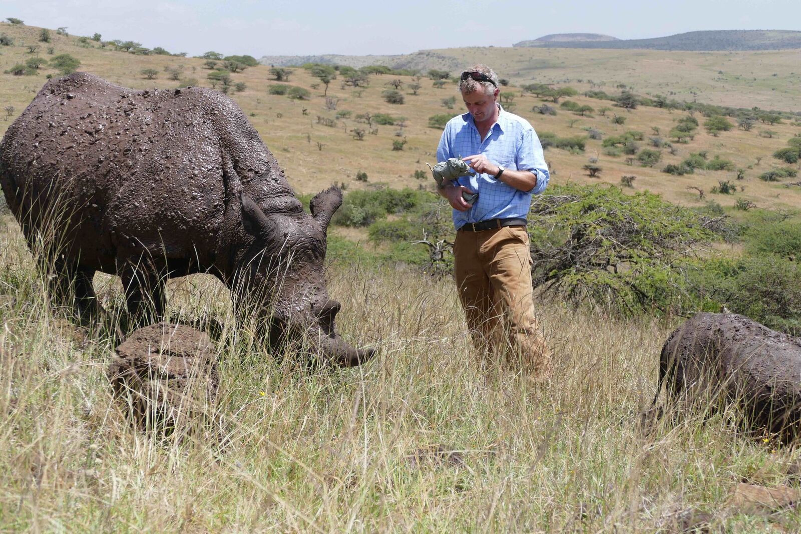 Hamish Mackie with a Black Rhino shown on the About Hamish page
