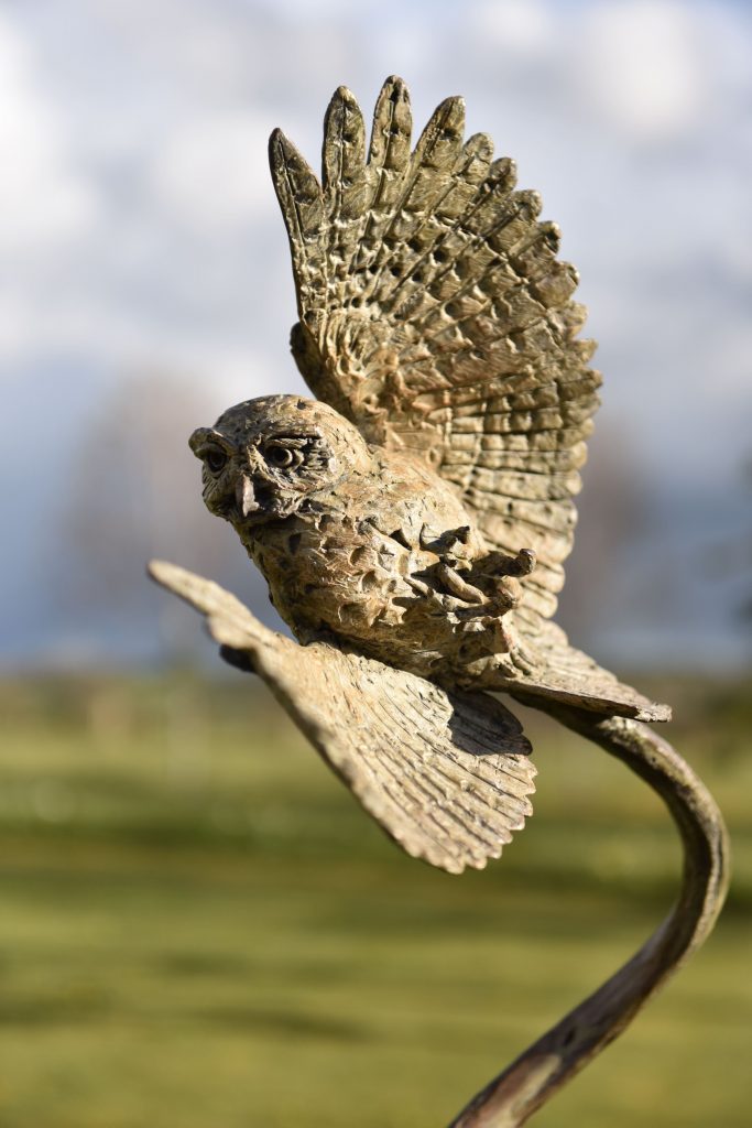 Owl bird Sculpture by Hamish Mackie
