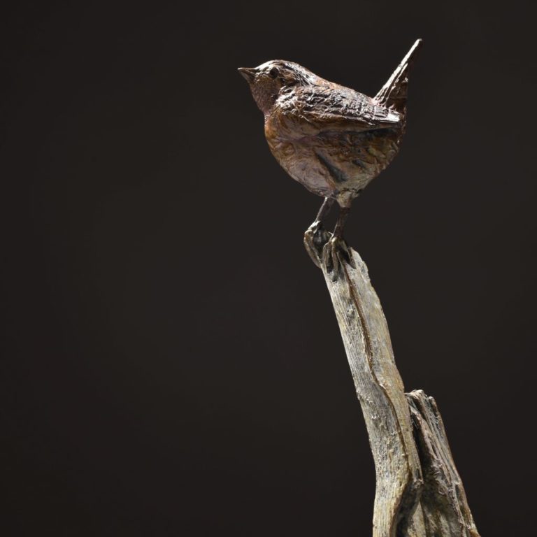 Wren bird Sculpture by Hamish Mackie