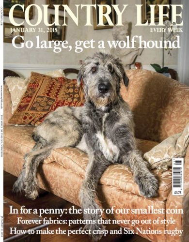 Country Life January 2018 cover
