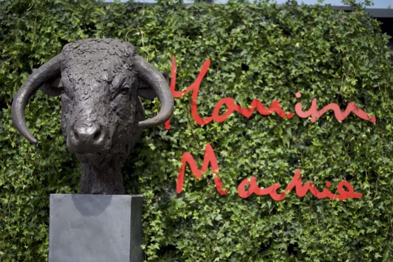 Hamish's Bull Head sculpture at Chelsea Flower Show
