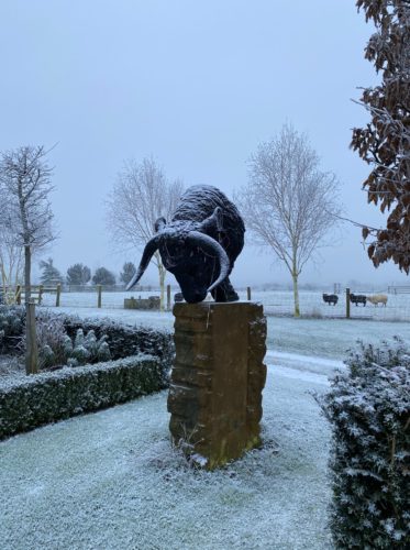 Bull sculpture in the snow