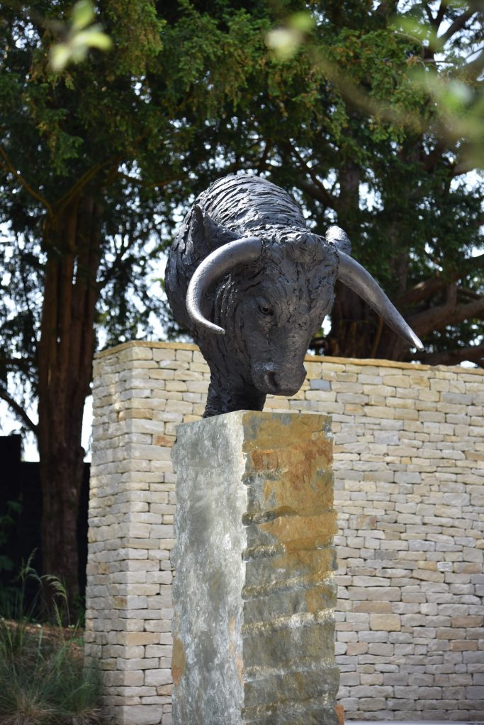 Bull Head sculpture by stone wall
