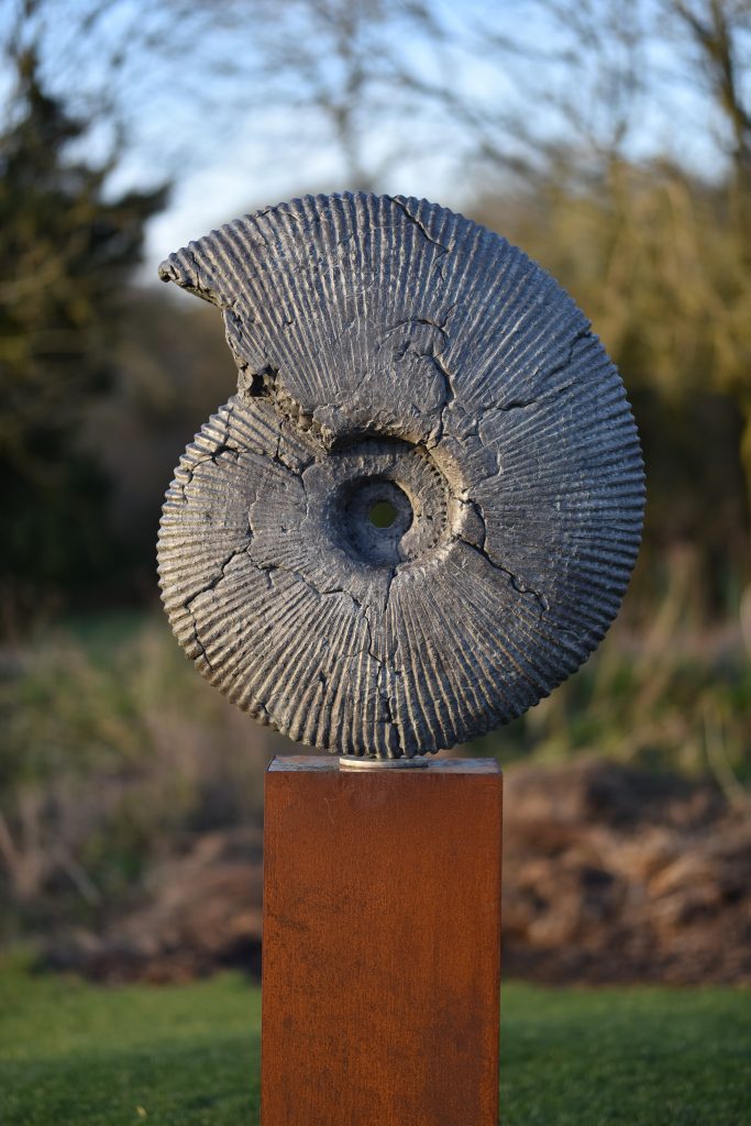 ammonite fossil sculpture