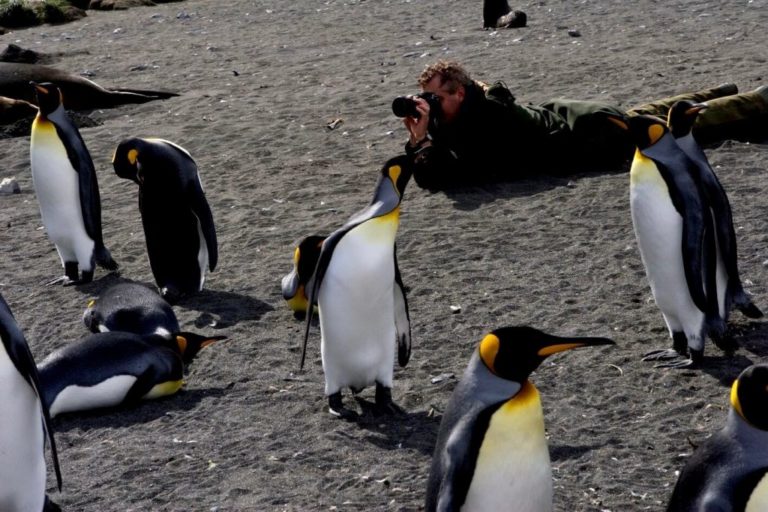 Hamish photographing penguins