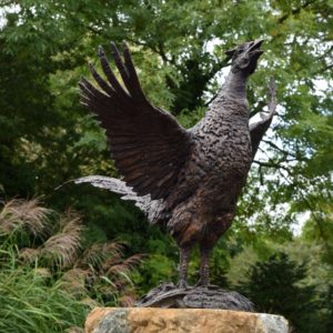 Bronze Pheasant sculpture by Hamish Mackie