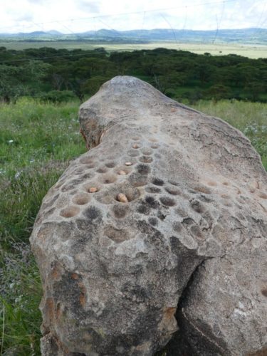 rock art at Il Ngwesi
