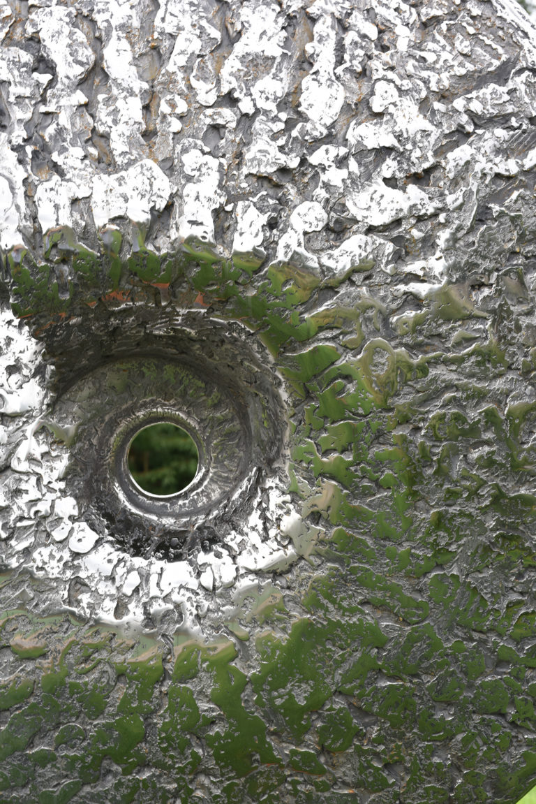 detail of ammonite sculpture