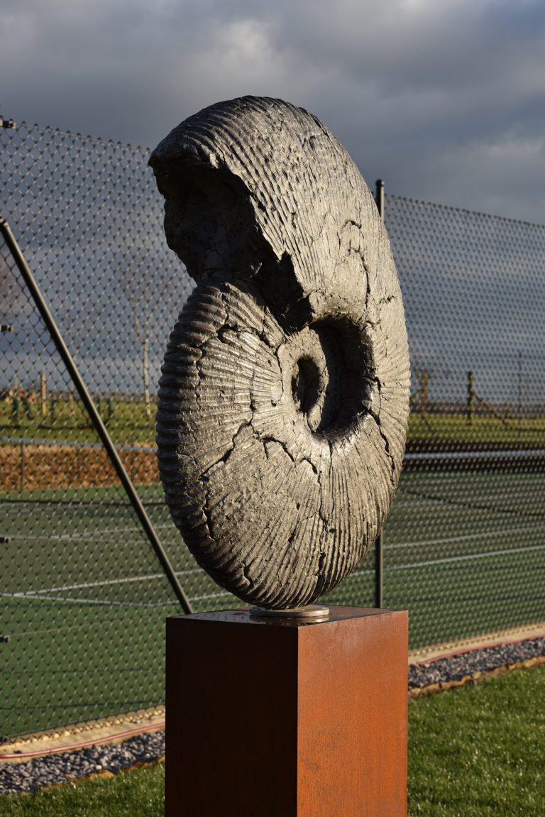ammonite jurassic sculpture