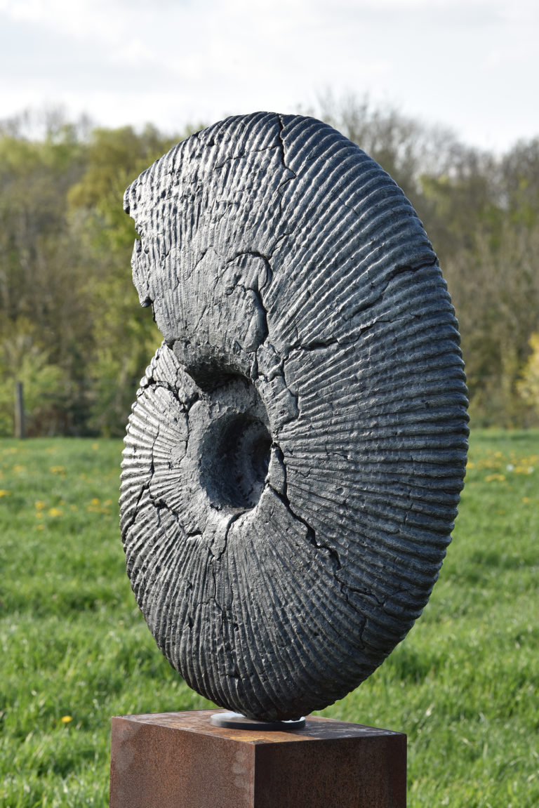 bronze sculpture of ammonite jurassic