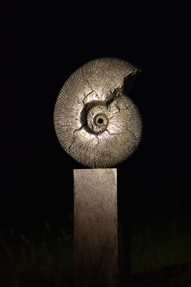Hamish Mackie's ammonite jurassic