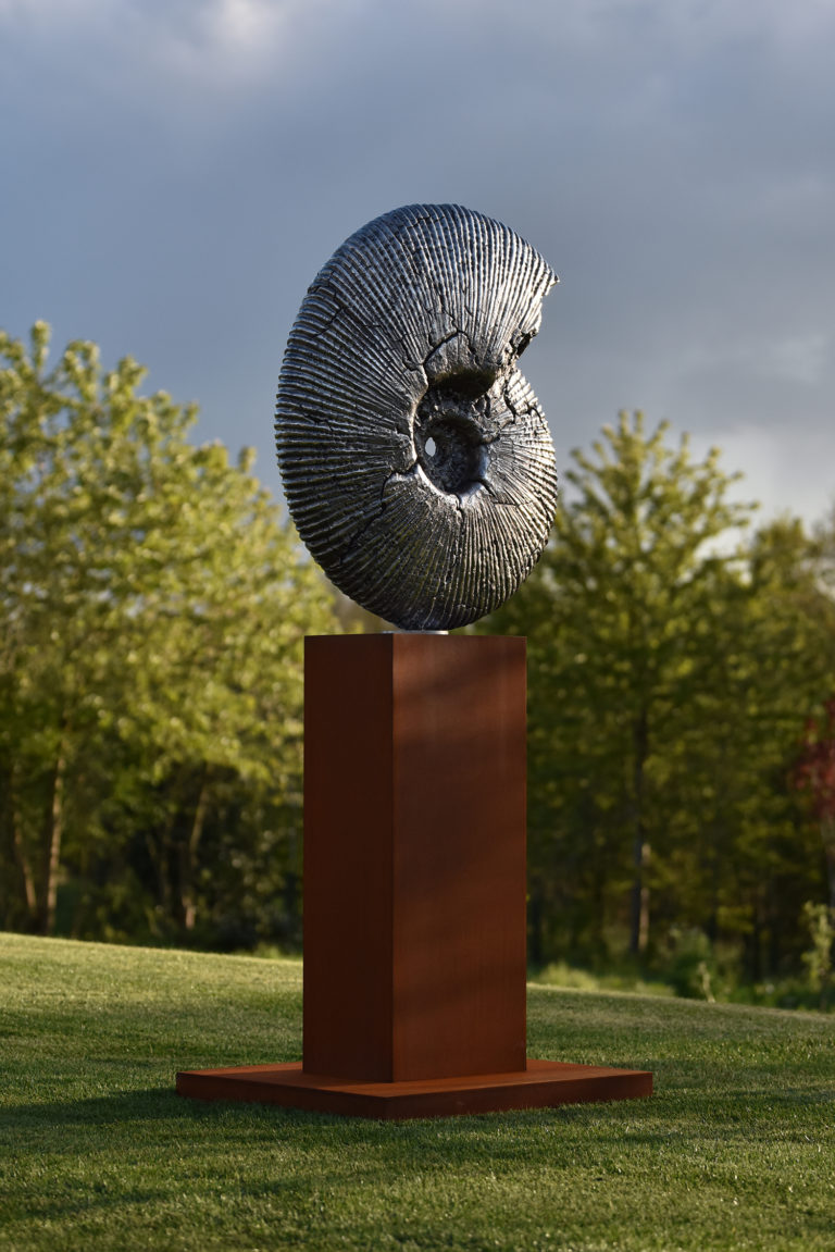 stainless steel sculpture of ammonite jurassic