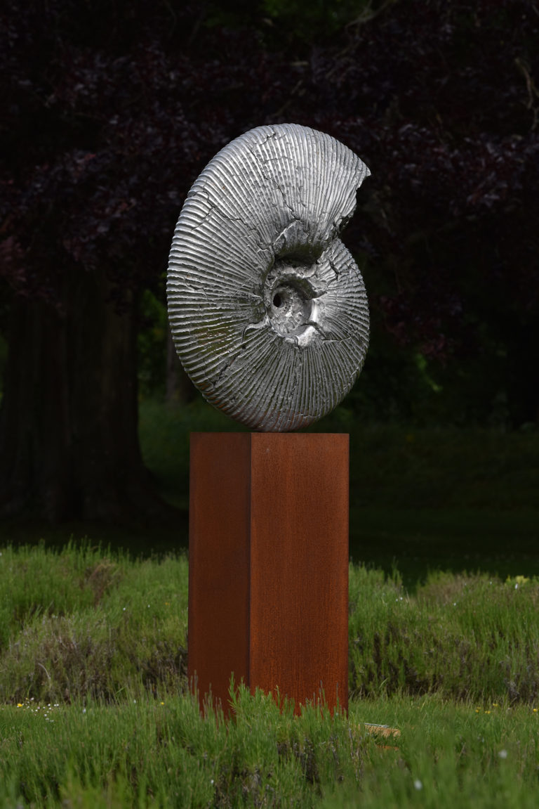 sculpture of ammonite jurassic