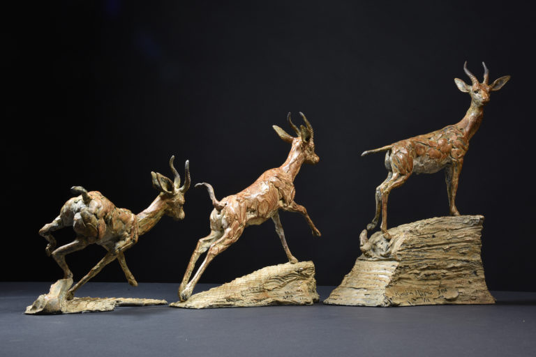 Hamish's series of bronze Arabian Gazelle sculpture