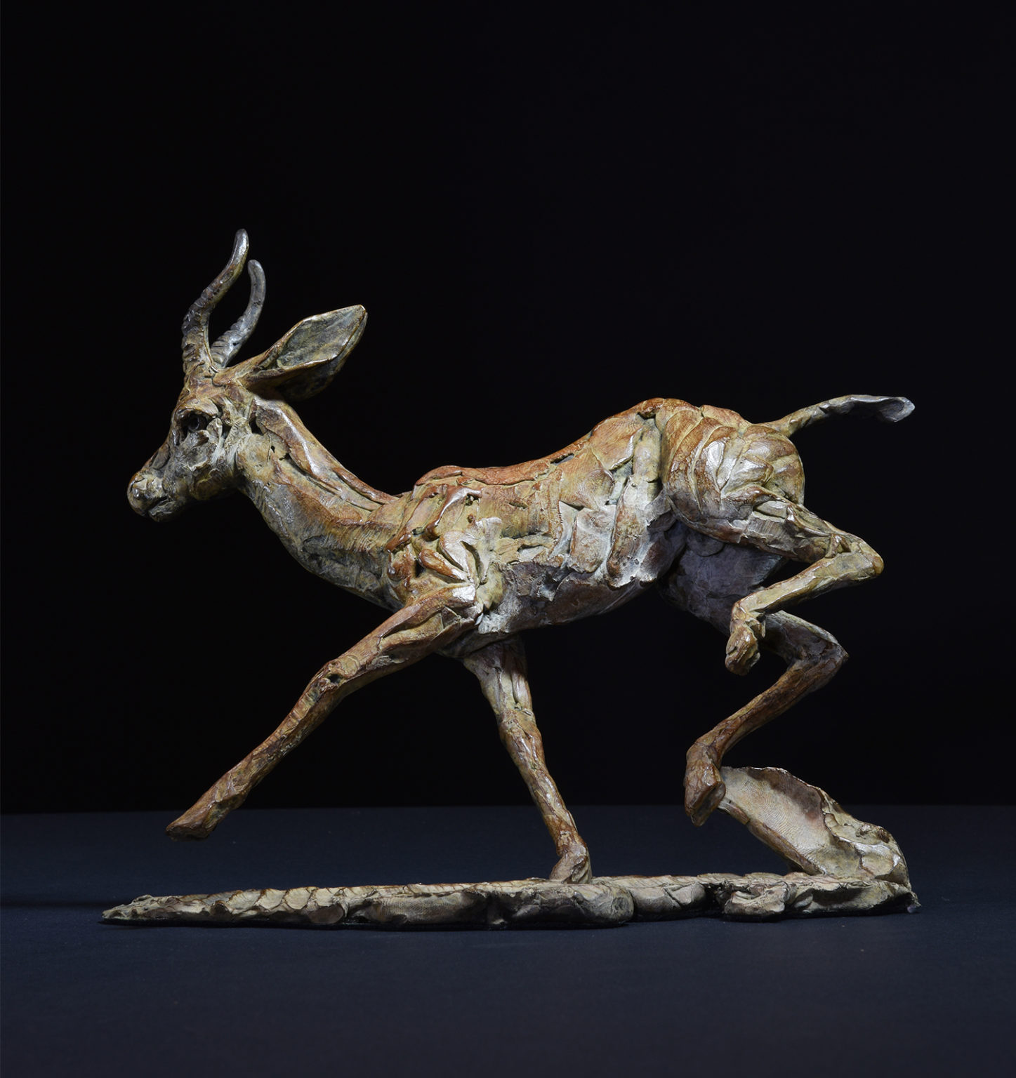 Limited Edition Bronze Arabian Gazelle by Hamish Mackie