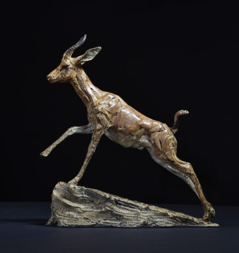 Hamish Mackie's Arabian Gazelle sculpture