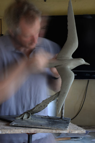Hamish sculpting arctic tern