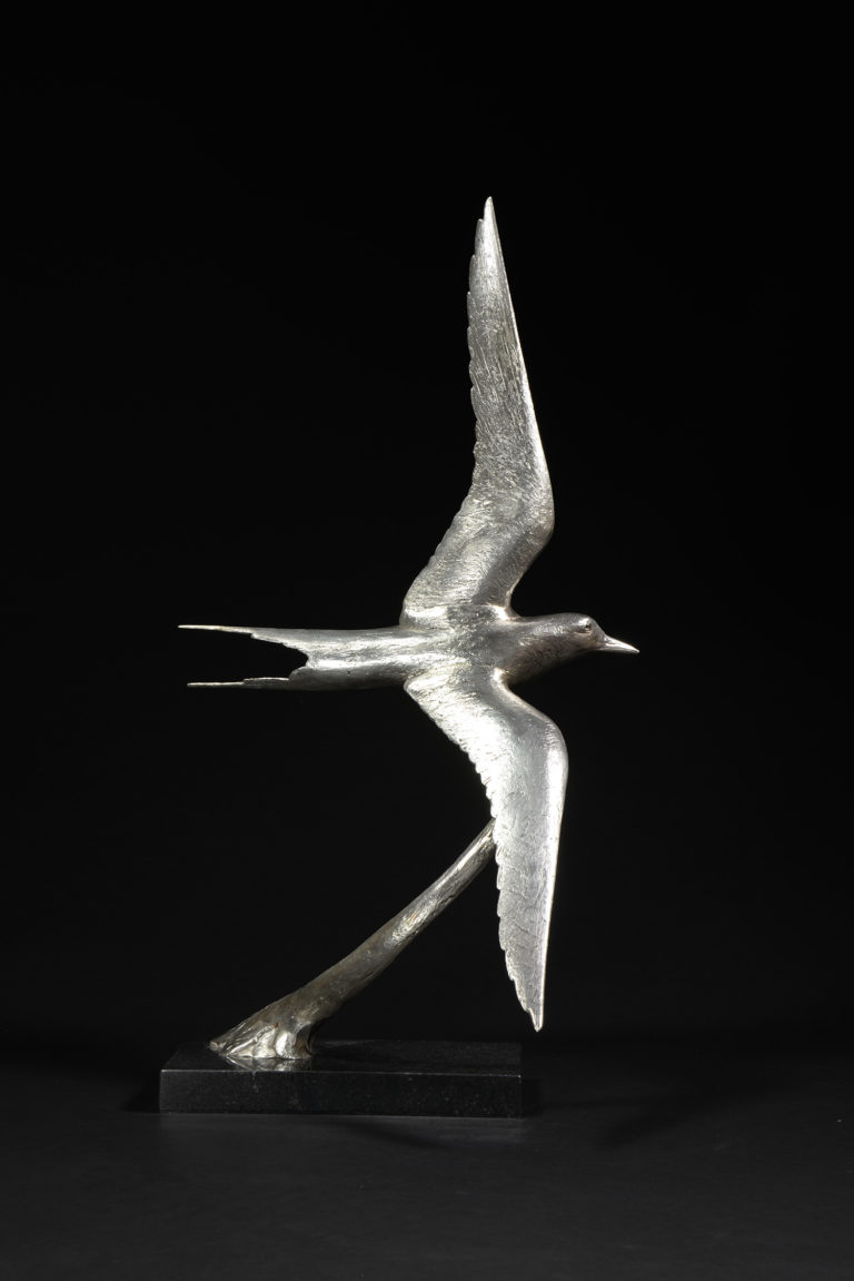 silver Arctic Tern