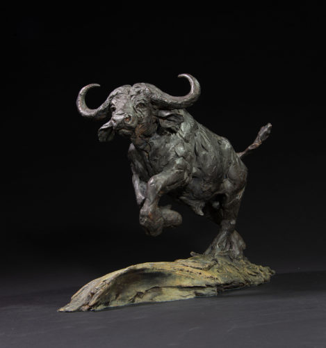 Cape buffalo sculpture