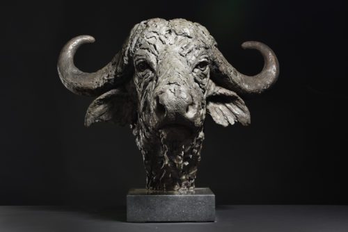 Cape Buffalo Head sculpture in bronze