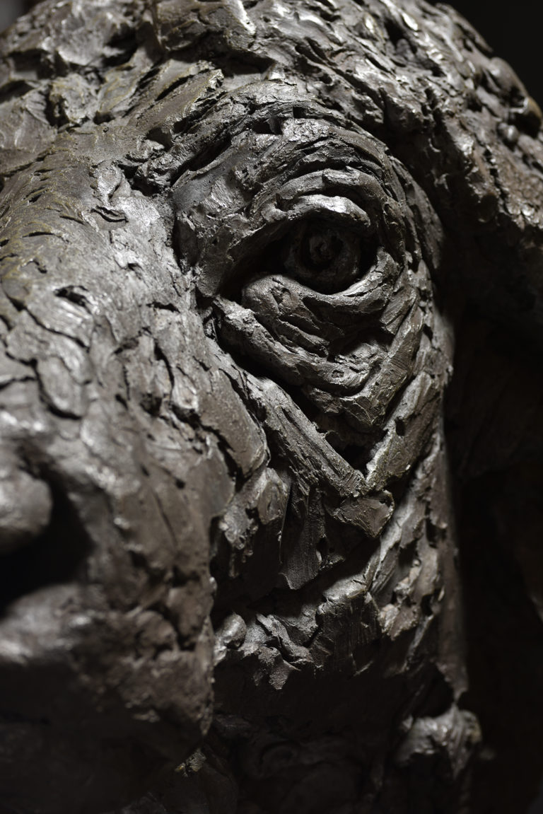 detail of eye of Cape Buffalo Head sculpture