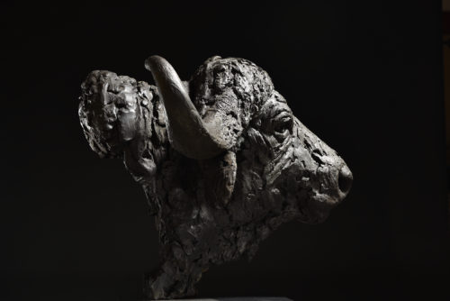 Mackie's Cape Buffalo Head sculpture