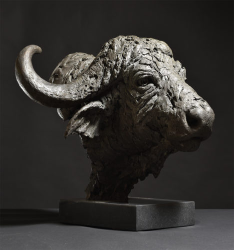 Cape Buffalo Head sculpture by Hamish Mackie