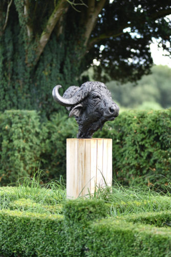 Cape Buffalo Head sculpture outdoors