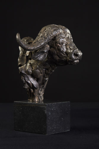 Cape buffalo head in bronze