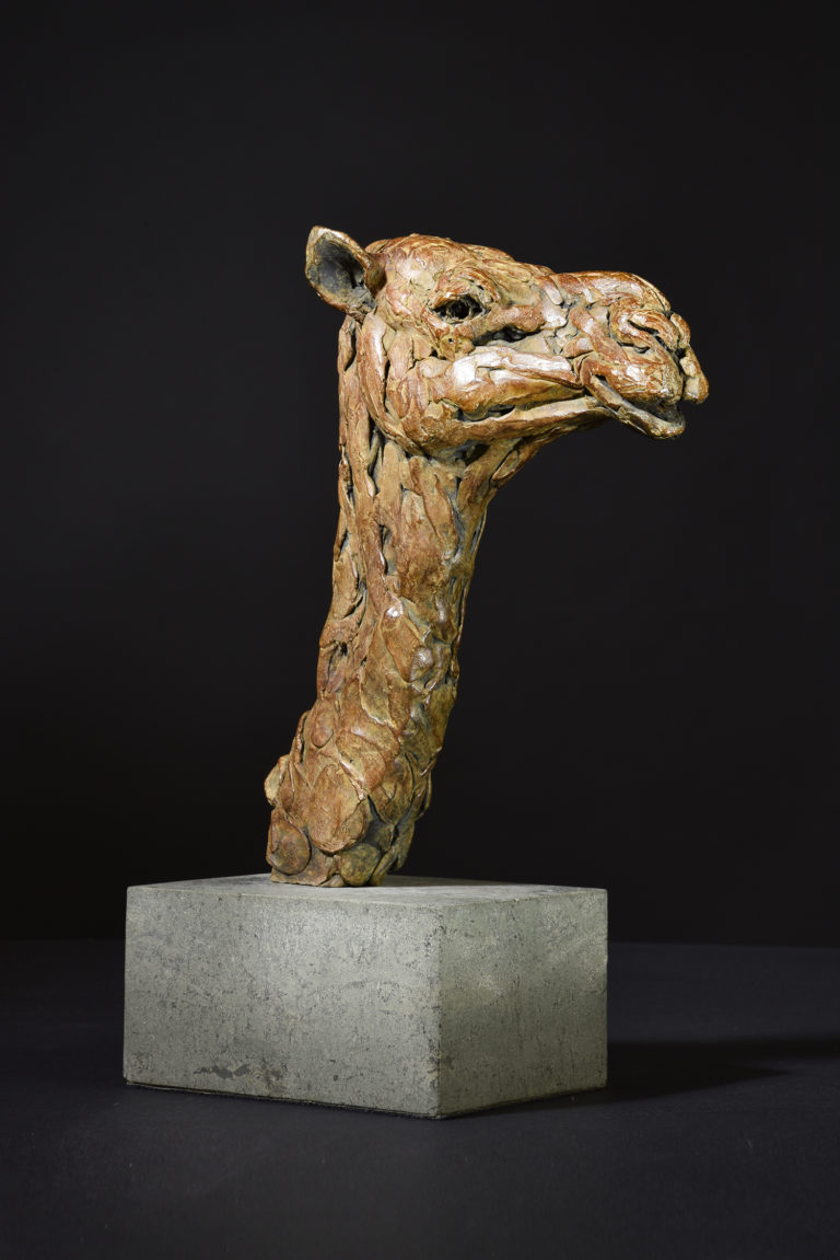 camel head sculpture