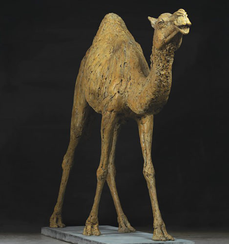 life size camel sculpture by Mackie