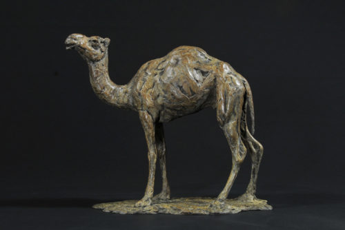 bronze camel standing