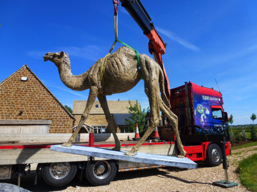 Life size camel sculpture being lifted by crane