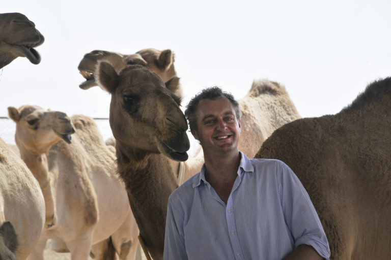 Hamish with camels