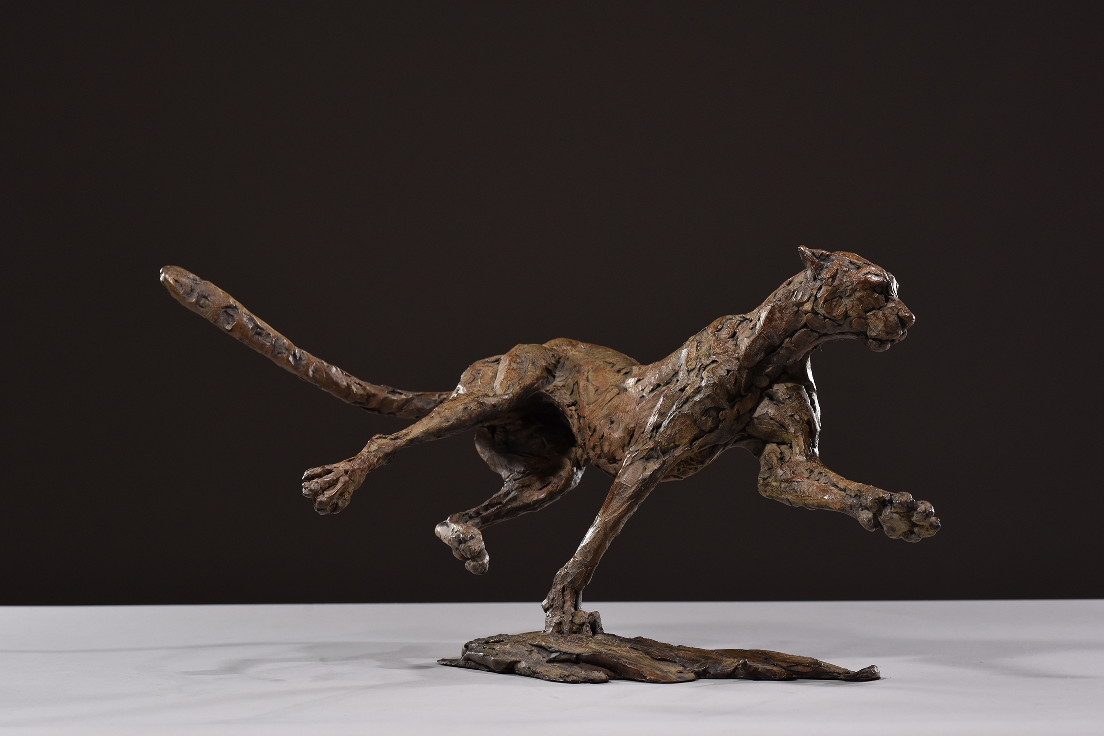 Bronze Cheetah sculpture by Hamish Mackie