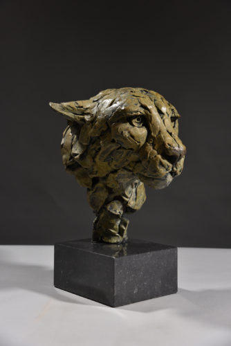bronze cheetah head study