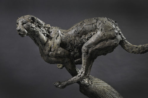 Mackie's bronze cheetah