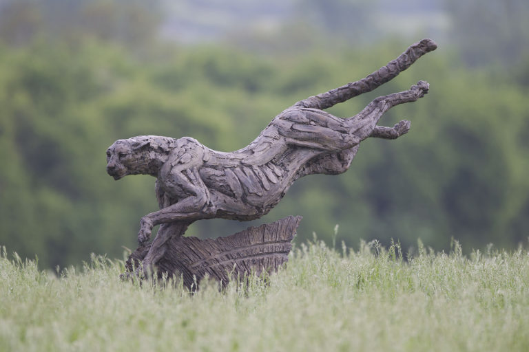cheetah life size by Hamish Mackie