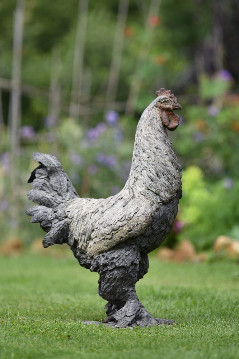 Brahma chicken sculpture