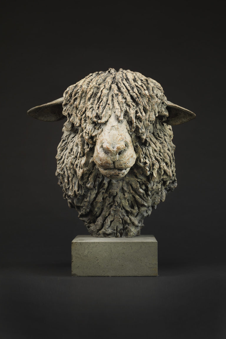 cotswold ram head by Hamish Mackie