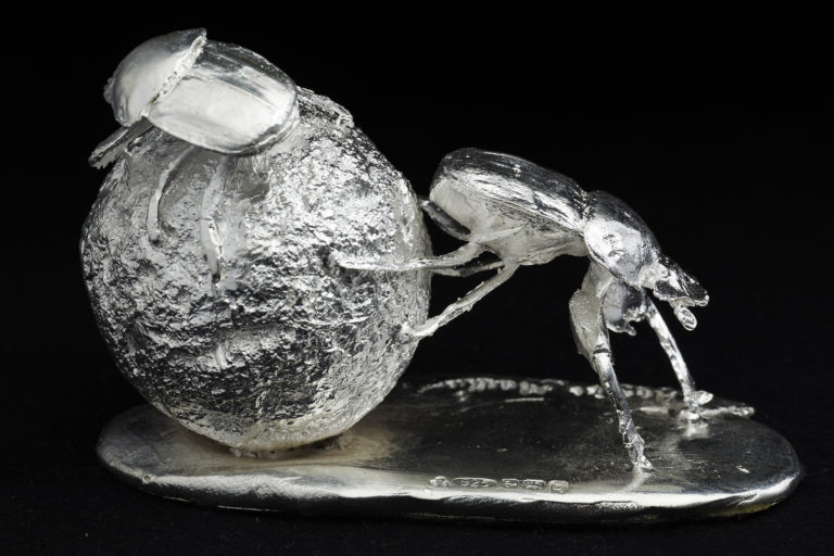 silver dung beetles