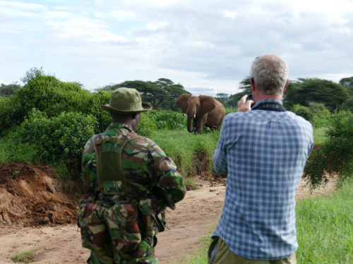 Hamish watching elephants with guide