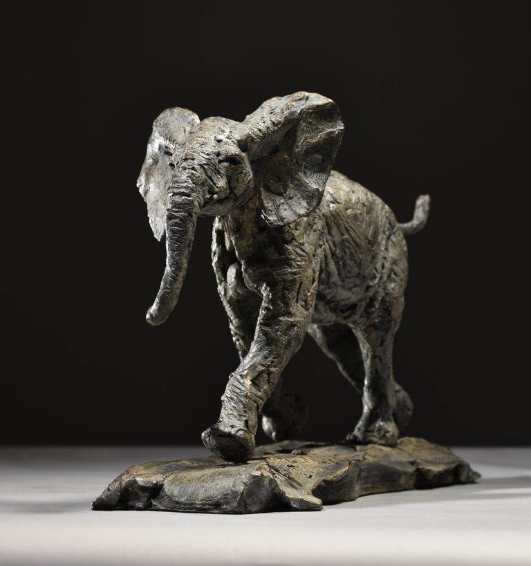 elephant calf boisterous by Hamish Mackie