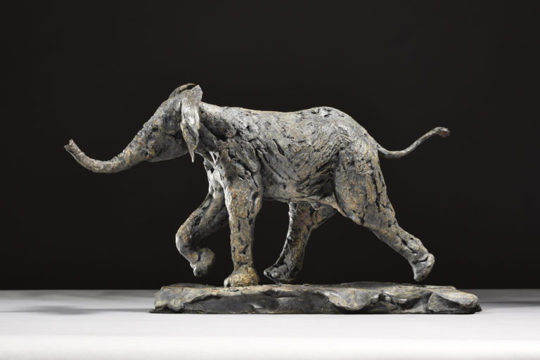 bronze elephant calf bold by Mackie
