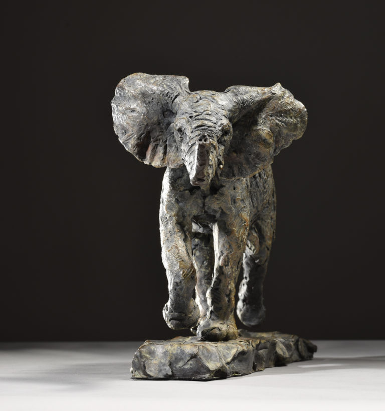 bronze sculpture elephant calf bold by Mackie