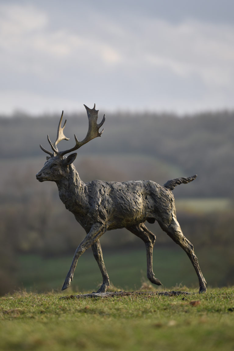 fallow buck sculpture