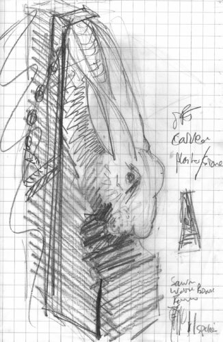 drawings for hare head sculpture