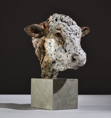 Hereford bull head sculpture