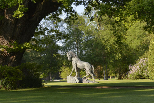 Andalusian Stallion in gardens