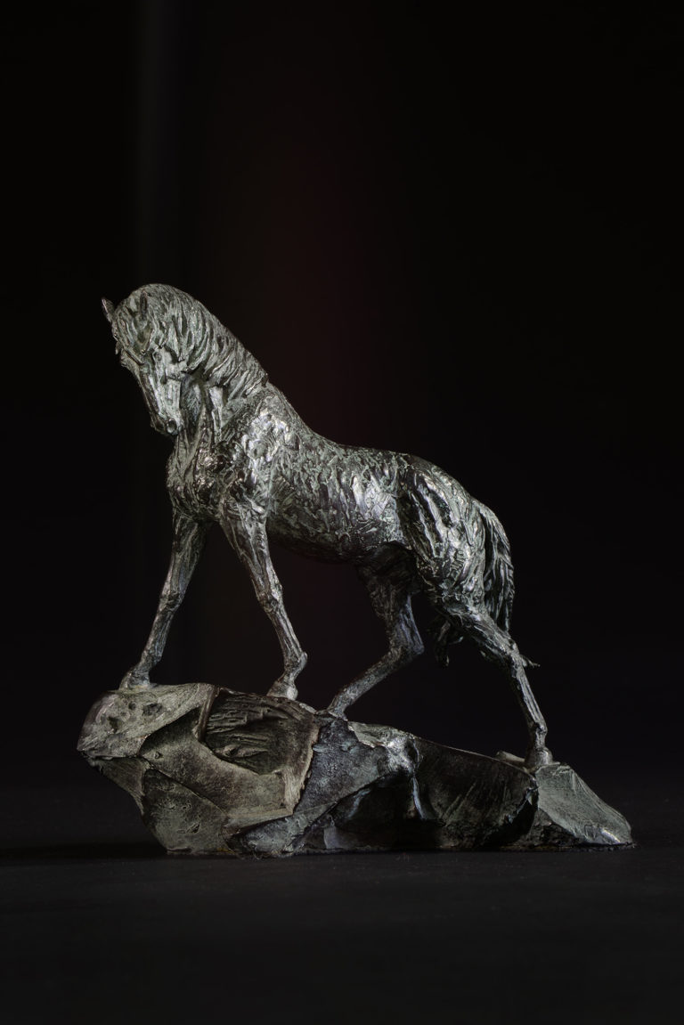 Goodman's Andalusian Stallion Scale 1:18